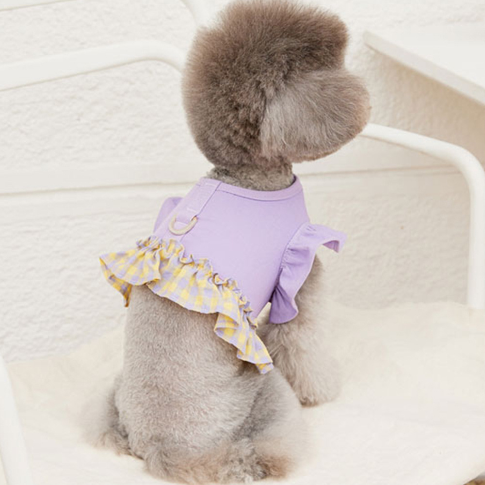 Guinzaglio per cani a contrast - Lace Teddy Lingerie recensione e prezzo